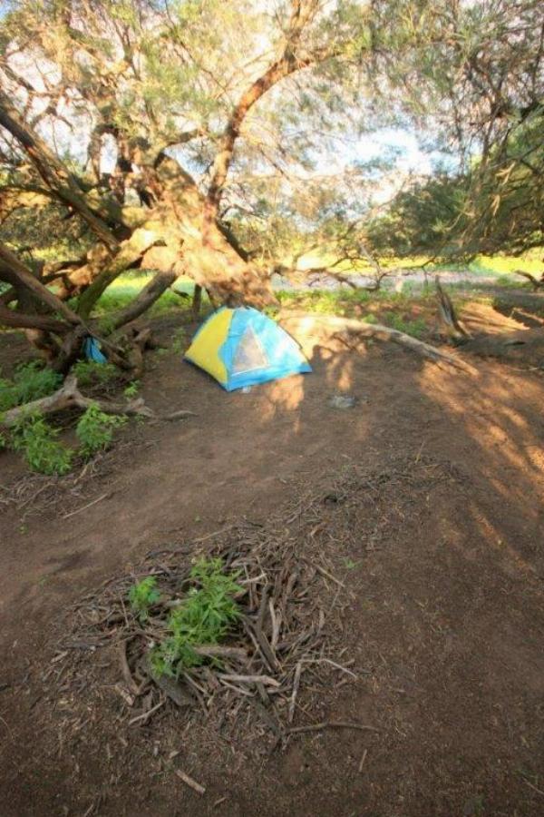 Foto de Camping Los Algarrobos - Nueva Pompeya en Los Algarrobos,Nueva Pompeya,Chaco