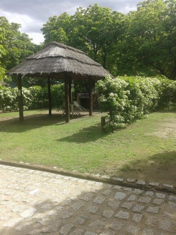 Foto de Camping Los Nogales - Estancia Grande en Los Nogales,Estancia Grande,San Luis