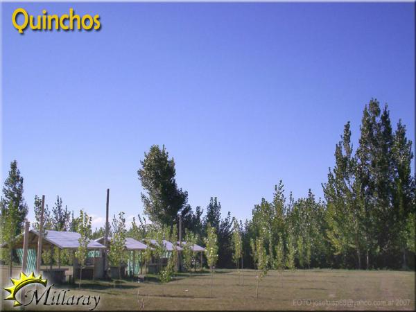 Foto de Camping Millaray - San Carlos en Millaray,San Carlos,Mendoza