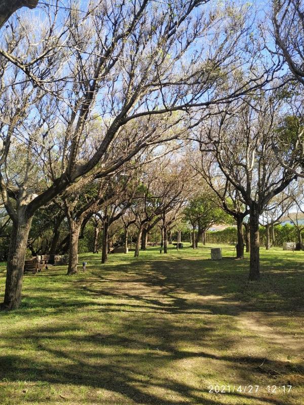 Foto de Camping Monte Pasubio - Necochea en Monte Pasubio,Necochea,Buenos Aires