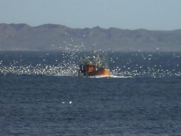 Foto de Camping Municipal - Camarones en Municipal,Camarones,Chubut