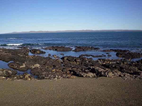 Foto de Camping Municipal - Camarones en Municipal,Camarones,Chubut