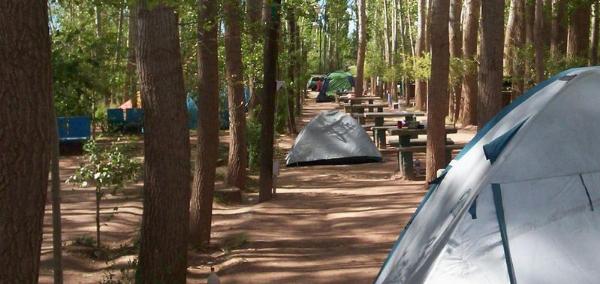 Foto de Camping Municipal - Malargüe en Municipal,Malargüe,Mendoza
