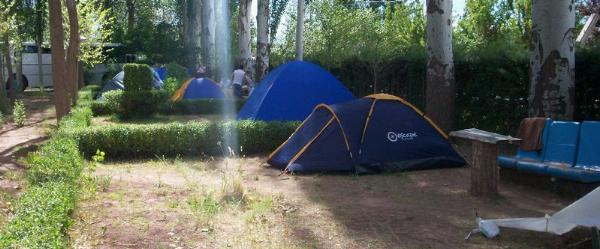 Foto de Camping Municipal - Malargüe en Municipal,Malargüe,Mendoza