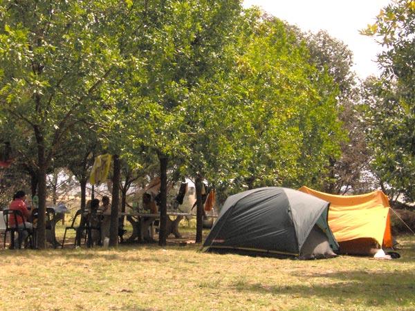 Foto de Camping Nicolás Levalle - Carhué en Spa Cabañas y Camping Levalle - Carhue, Carhué, Buenos Aires Province, Argentina