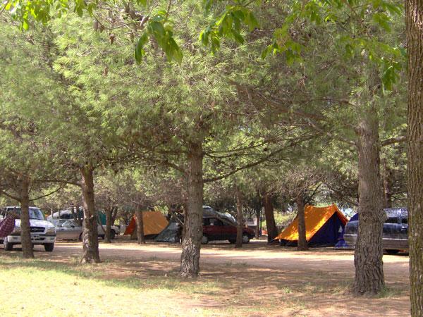 Foto de Camping Nicolás Levalle - Carhué en Spa Cabañas y Camping Levalle - Carhue, Carhué, Buenos Aires Province, Argentina