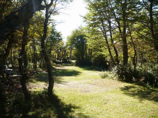 Foto de Camping Nikita - Río Pico en Nikita,Río Pico,Chubut
