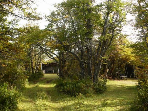 Foto de Camping Nikita - Río Pico en Nikita,Río Pico,Chubut