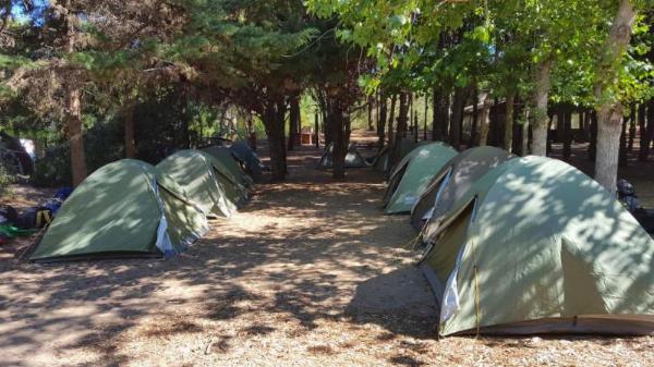 Foto de Camping Nueva Atlantis - Mar de Ajó en Camping Nueva Atlantis, Hipólito Yrigoyen, Nueva Atlantis, Provincia de Buenos Aires, Argentina