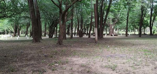 Foto de Camping Nuevo Costero Sur - Colón en Nuevo Costero Sur,Colón,Entre Ríos