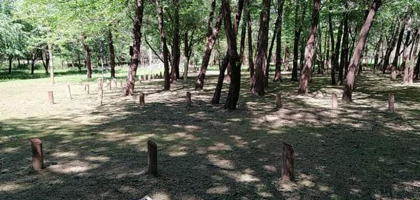 Foto de Camping Nuevo Costero Sur - Colón en Nuevo Costero Sur,Colón,Entre Ríos