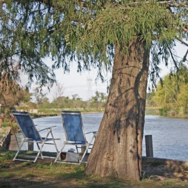 Foto de Camping Paraíso Brazo Largo - Ibicuy en Paraiso Brazo Largo, Entre Ríos, Argentina