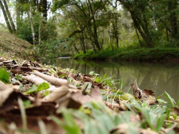 Foto de Camping Piedras Blancas - Aristóbulo del Valle en Piedras Blancas,Aristóbulo del Valle,Misiones