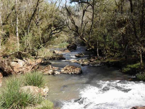 Foto de Camping Piedras Blancas - Aristóbulo del Valle en Piedras Blancas,Aristóbulo del Valle,Misiones