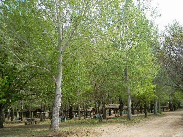Foto de Camping Playa Mansa - Mina Clavero en Mina Clavero, Córdoba, Argentina