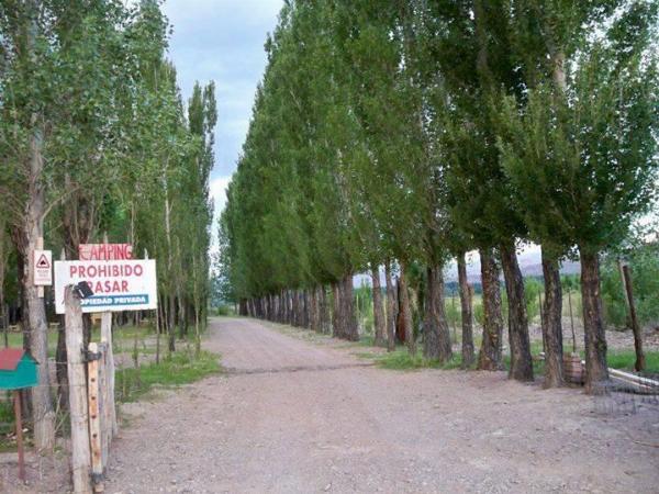 Foto de Camping Rincón de los Andes - Uspallata en Rincón de los Andes,Uspallata,Mendoza