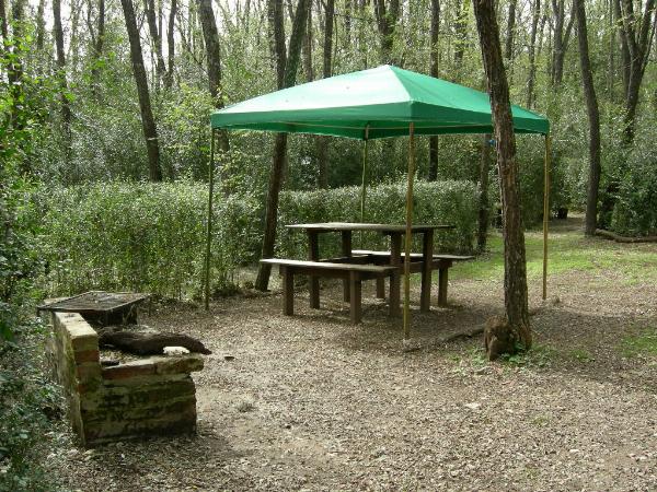 Foto de Camping Rincón de Mirlos - Villa General Belgrano en Rincón de Mirlos,Villa General Belgrano,Córdoba