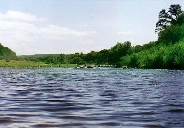 Foto de Camping Río Quilpo - San Marcos Sierras en Río Quilpo,San Marcos Sierras,Córdoba