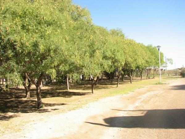 Foto de Camping SOSUNC - Las Grutas en SOSUNC,Las Grutas,Río Negro