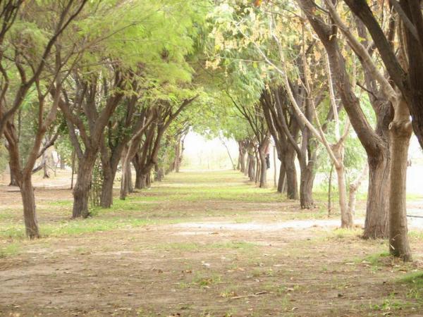 Foto de Camping SOSUNC - Las Grutas en SOSUNC,Las Grutas,Río Negro