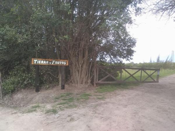 Foto de Camping Tierra Y Frutos - Ministro Rivadavia en Tierra Y Frutos,Ministro Rivadavia,Buenos Aires