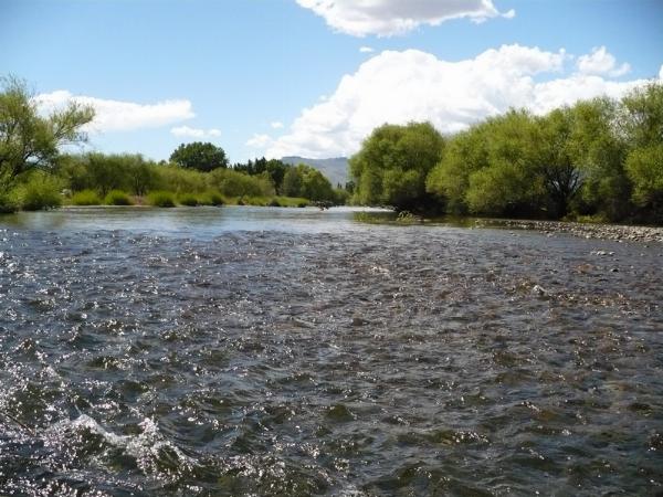 Foto de Camping Toscas Blancas - Junín de los Andes en Toscas Blancas,Junín de los Andes,Neuquén