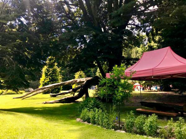 Foto de Camping Traful Lauquen - Villa Traful en Traful Lauquen,Villa Traful,Neuquén