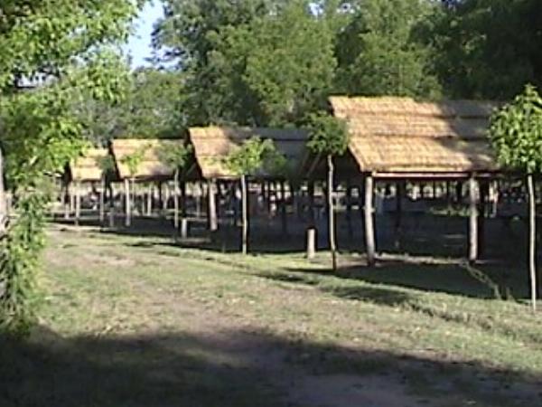Foto de Camping Traslasierra - Nono en Traslasierra,Nono,Córdoba