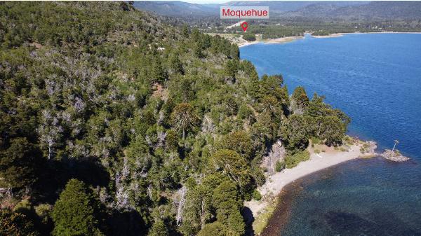 Foto de Camping Trenel - Moquehue en Trenel,Moquehue,Neuquén
