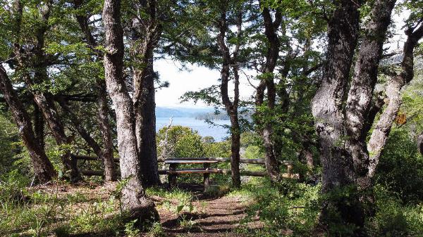 Foto de Camping Trenel - Moquehue en Trenel,Moquehue,Neuquén