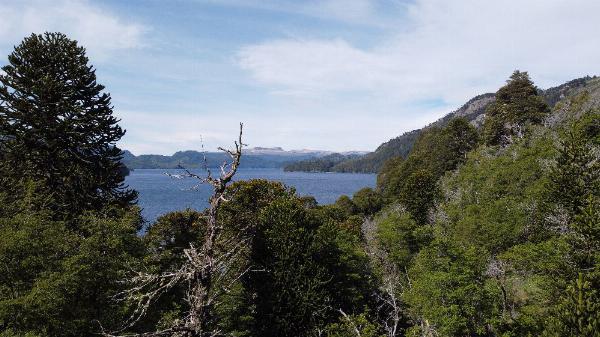 Foto de Camping Trenel - Moquehue en Trenel,Moquehue,Neuquén