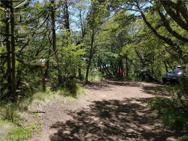 Foto de Camping Trenel - Moquehue en Trenel,Moquehue,Neuquén