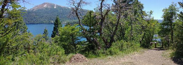 Foto de Camping Trenel - Moquehue en Trenel,Moquehue,Neuquén