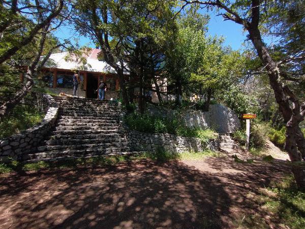 Foto de Camping Trenel - Moquehue en Trenel,Moquehue,Neuquén
