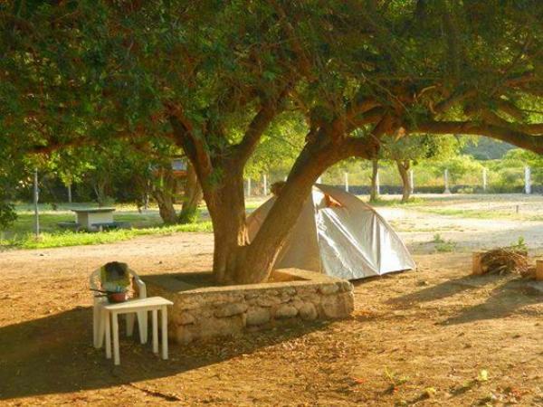 Foto de Camping Valle Extremo - San Agustín de Valle Fértil en Valle Extremo,San Agustín de Valle Fértil,San Juan