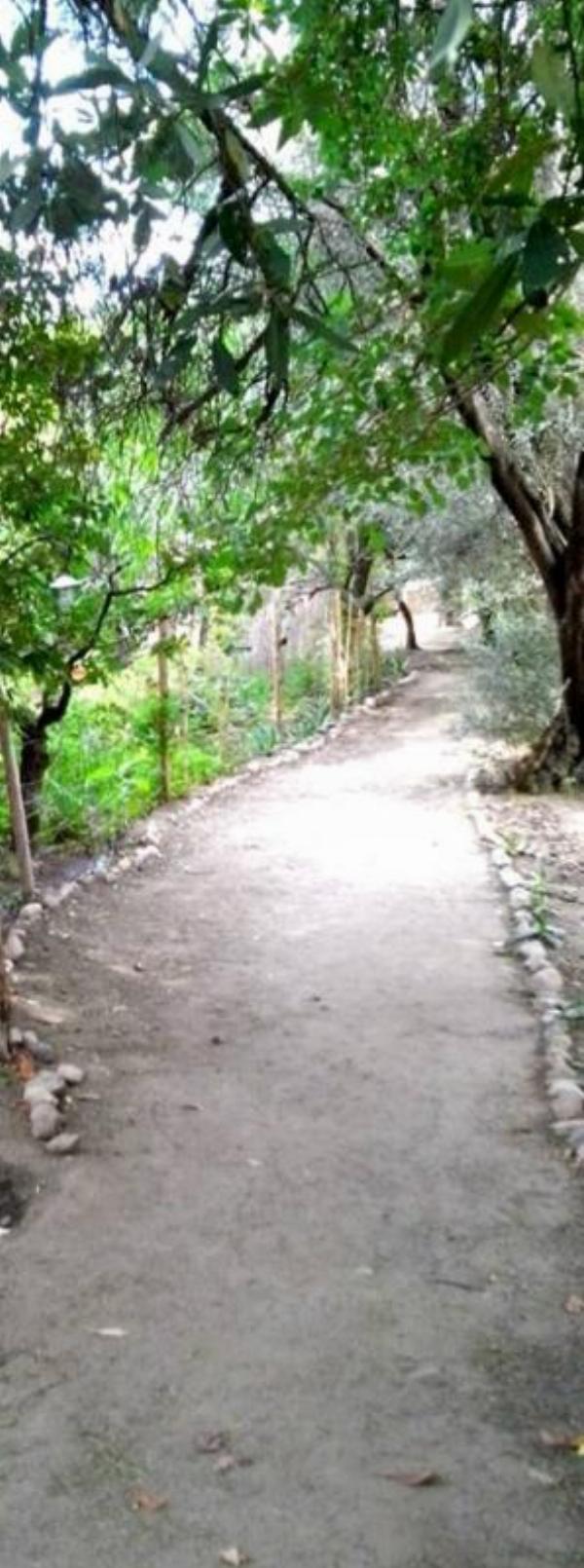 Foto de Camping Viracocha - San Marcos Sierras en Viracocha,San Marcos Sierras,Córdoba