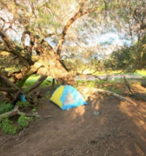 Camping Los Algarrobos - Nueva Pompeya