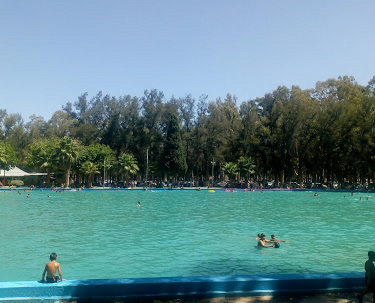 Camping Municipal El Pinar - Rivadavia