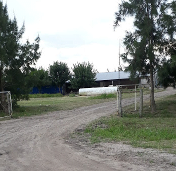 Camping Municipal Los Tatané - Avellaneda