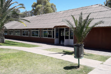 Camping Palmar del Lago - Ullum