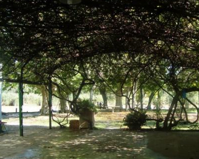 Camping La Primavera - Campana