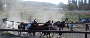 Camping San Carlos - Comodoro Rivadavia