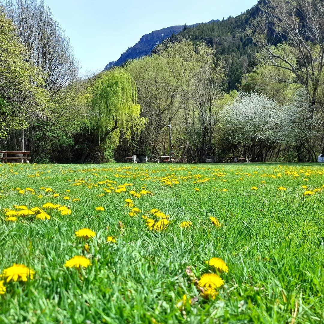 Camping Complejo Turístico La Cordillera - Epuyén