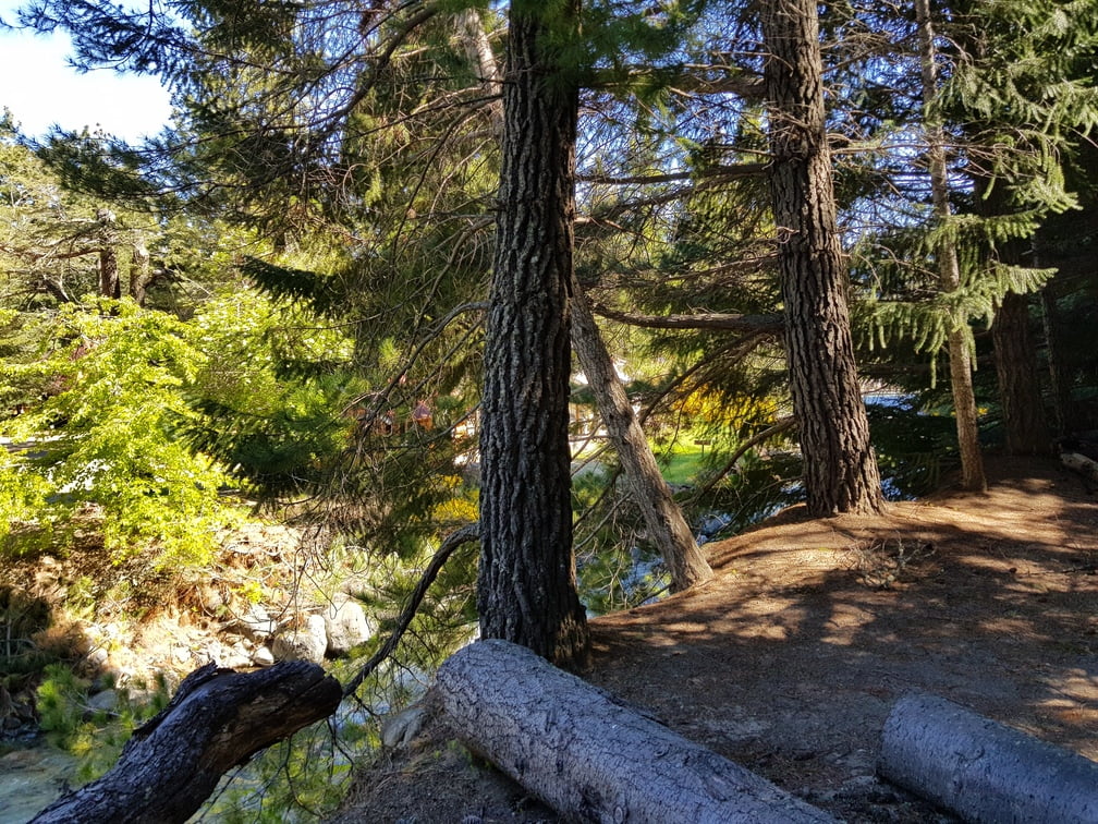 Camping CAMPAMENTO SAC - Bariloche