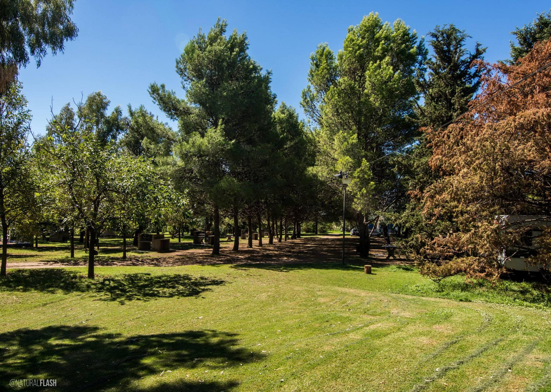 Camping Nicolás Levalle - Carhué