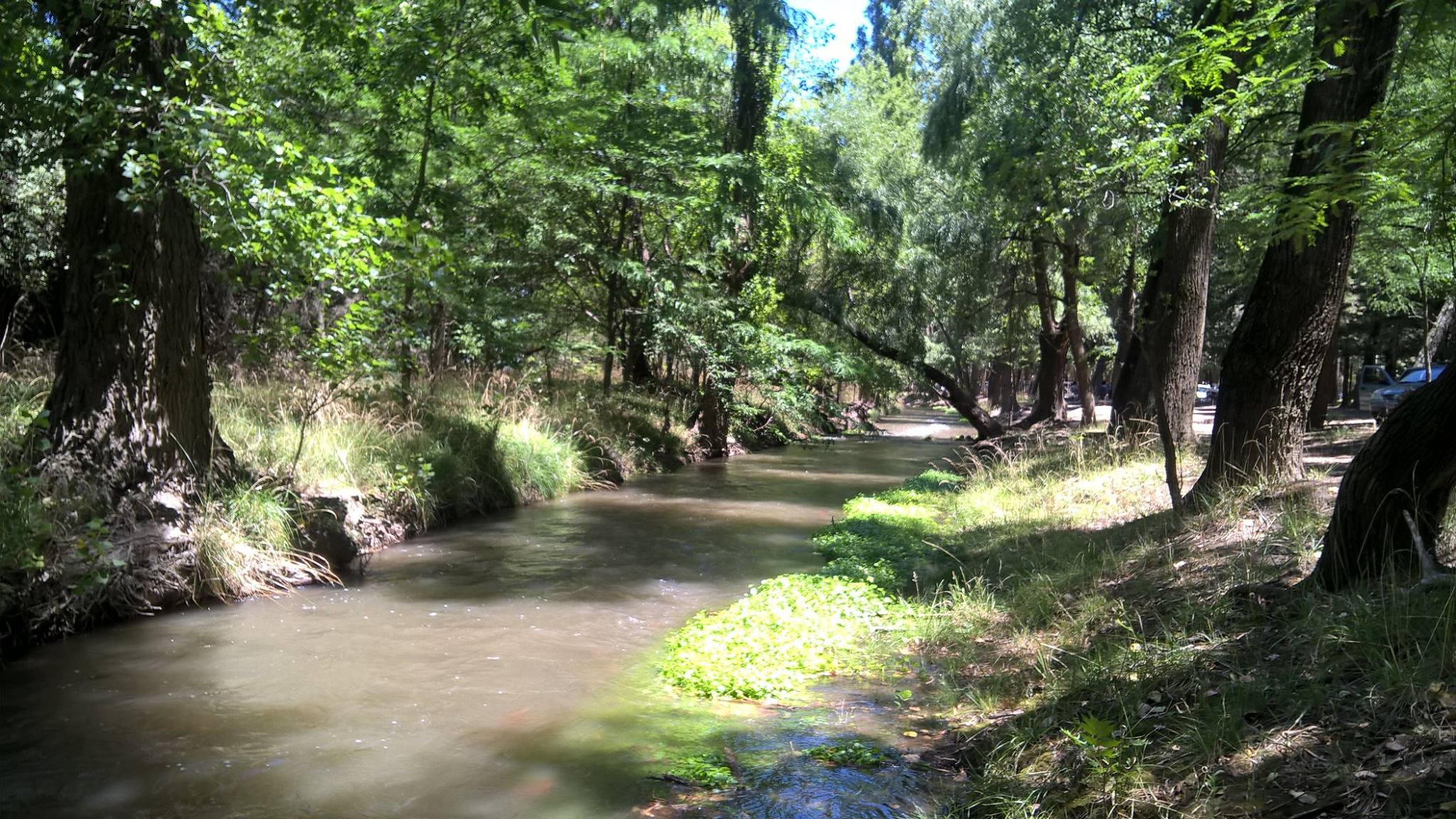 Camping La Chacra Carhué - Carhué