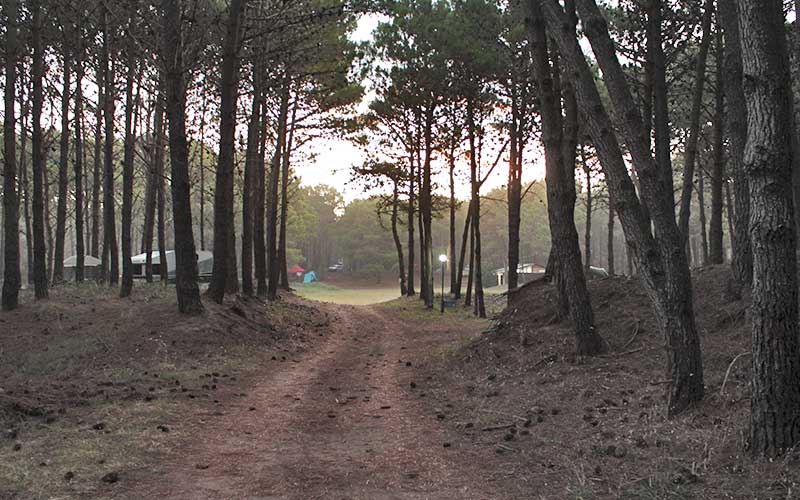 Camping Quimey Lemu - Pinamar