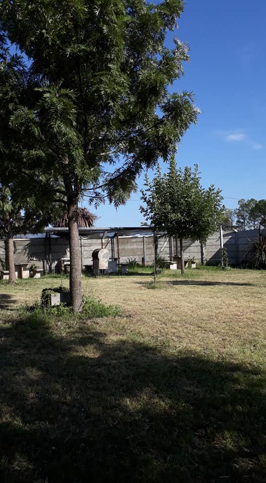 Foto de Camping El Descanso - San Pedro en Cabanas El Descanso, Ruta Provincial 1001, San Pedro, Provincia de Buenos Aires, Argentina