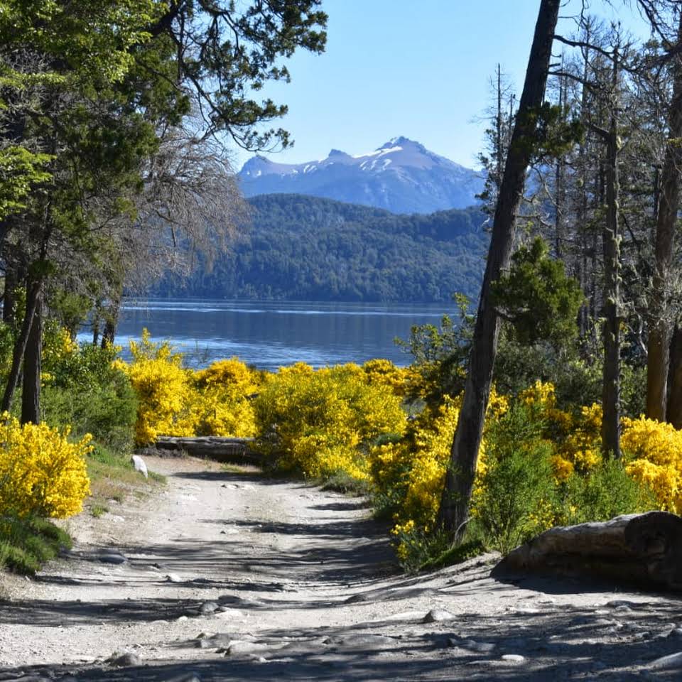Foto de Camping La Estacada - Villa La Angostura en La Estacada,Villa La Angostura,Neuquén