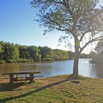 Foto de Camping Paraíso Brazo Largo - Ibicuy en Paraiso Brazo Largo, Entre Ríos, Argentina